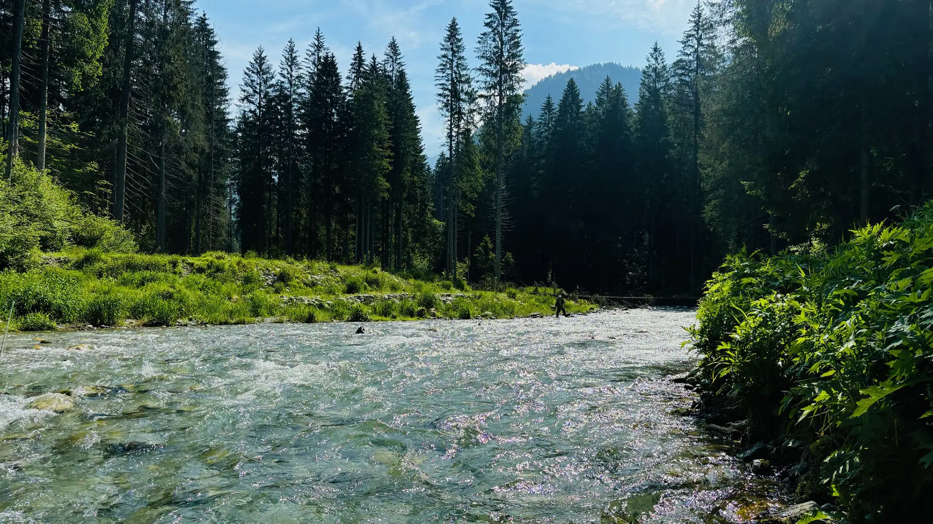 The Dolomites of Trentino